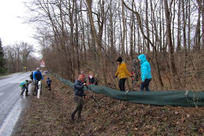 Rettet den Froschkönig