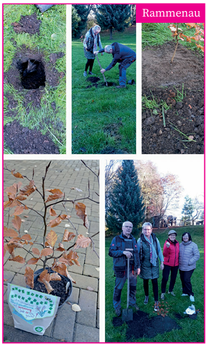 Baumpflanz_Challenge_Rammenau